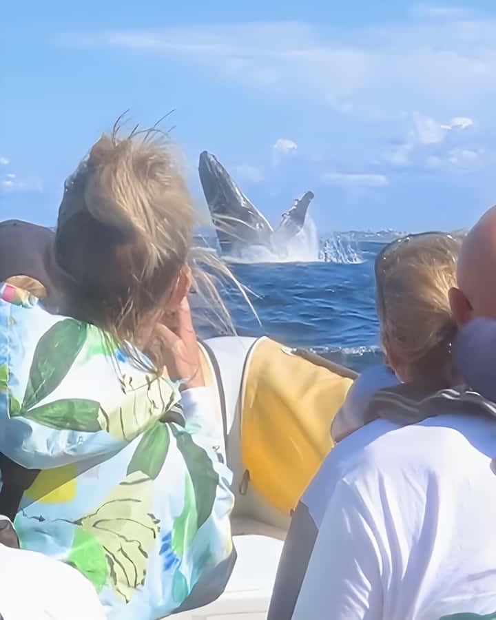 Noosa: Noosa Whale Watching Tour - What to bring for a smoother ride (especially if you hate cold surprises)