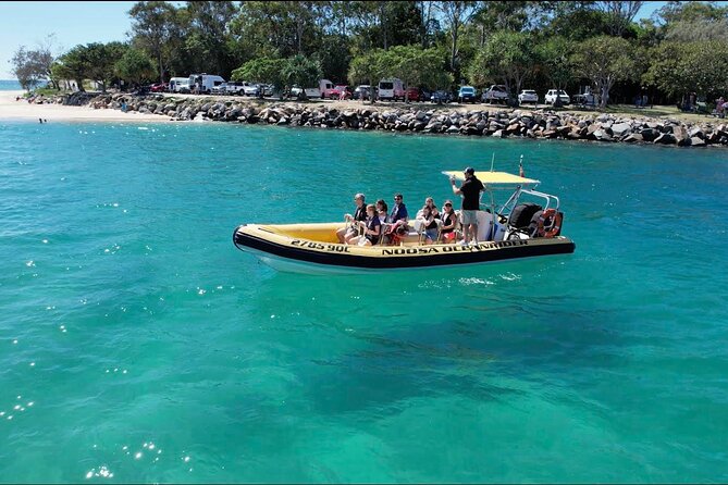 Noosa ocean adventure & Dolphin safari. - Key things to know before you go