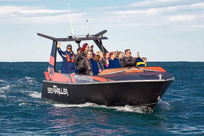 Noosa Ocean Adventures: Dolphins - Key takeaways before you book