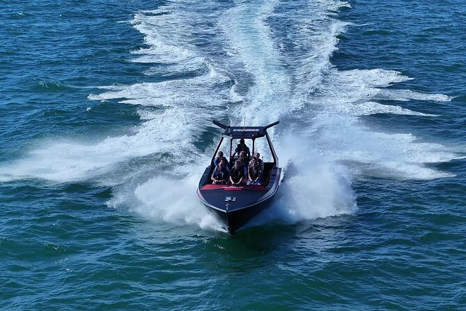 Noosa Ocean Adventures: Dolphins - Price and value: $64.55 for speed, sights, and video
