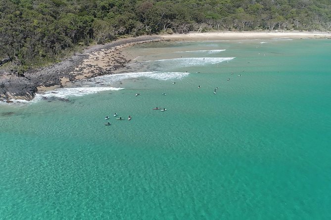 Noosa Ocean Adventures: Dolphins - Wildlife spotting without turning the ride into a waiting game