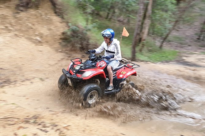 Noosa Quad Bike Tours - Who this tour fits best (and who might want to skip)