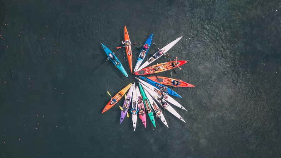 Noosa River: Mangroves and Mansions Guided Kayak Tour - Quick take: what makes this kayak tour worth it