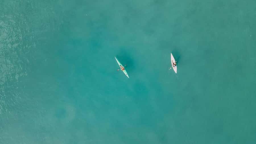 Noosa River: Mangroves and Mansions Guided Kayak Tour - Entering The Noosa River at The Jetty: logistics that keep you calm