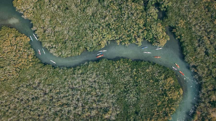 Noosa River: Mangroves and Mansions Guided Kayak Tour - How the 2-hour circuit plays out on the water