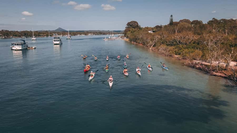 Noosa River: Mangroves and Mansions Guided Kayak Tour - Gear, safety, and what to wear so you stay comfortable