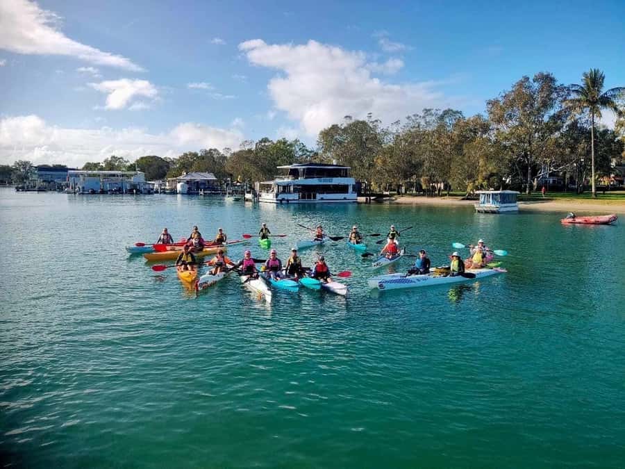 Noosa River: Mangroves and Mansions Guided Kayak Tour - Price and value: is $59 reasonable for two hours?