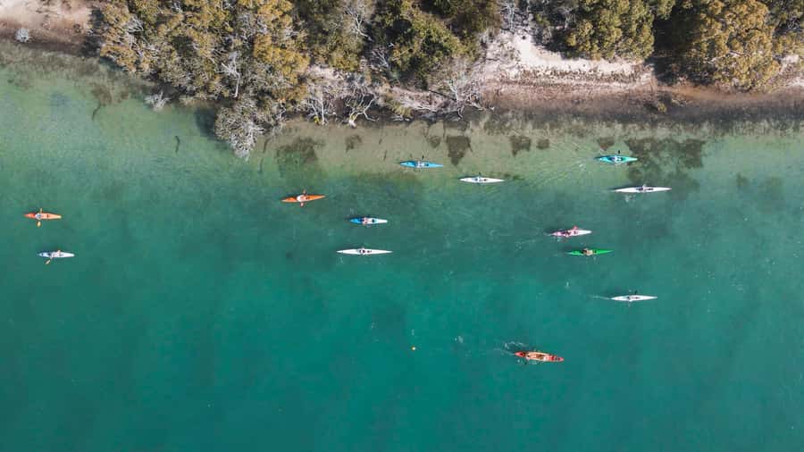 Noosa River: Mangroves and Mansions Guided Kayak Tour - Kayak basics in comfortable double-sit-on-top boats