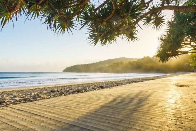 Noosa Sightseeing Adventure - Ferry Cruise, Ride and Kayak - Cruiser bikes through Noosaville: short, flat, and built for mixed ages