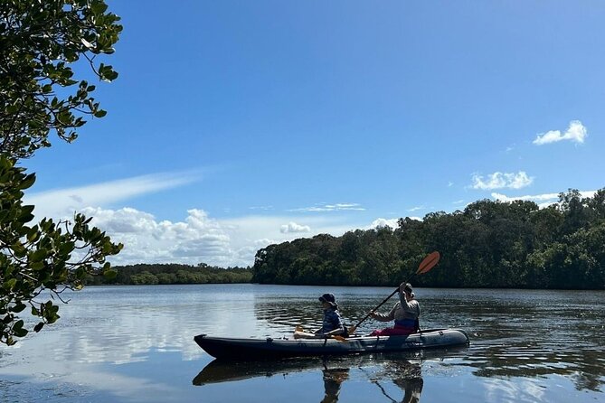 Noosa Sightseeing Adventure - Ferry Cruise, Ride and Kayak - Price and value: why $250.32 can make sense here