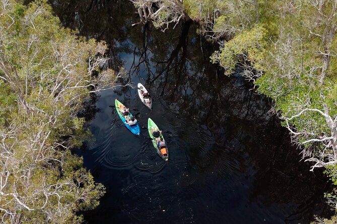 Noosa Sightseeing Adventure - Ferry Cruise, Ride and Kayak - Noosa River ferry cruise: sit, look, and learn the waterfront story