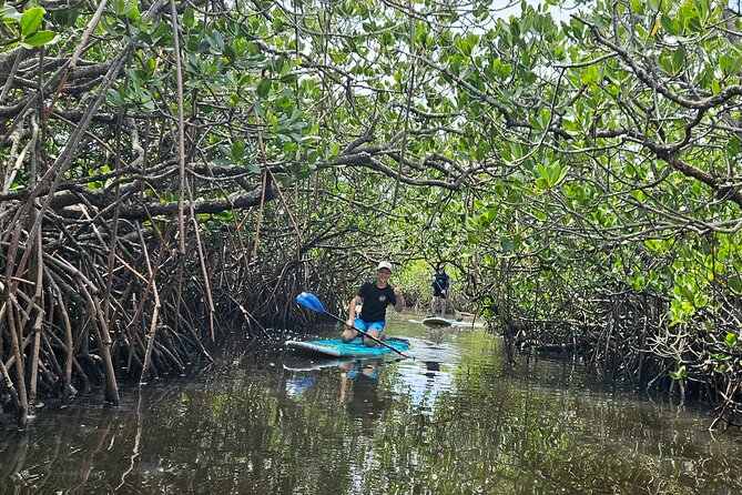 Noosa Stand Up Paddle Group Lesson - Meeting point and getting there without stress