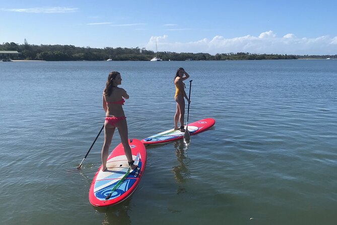 Noosa Stand Up Paddle Group Lesson - On-water scenery: beaches, bushland, and calm water