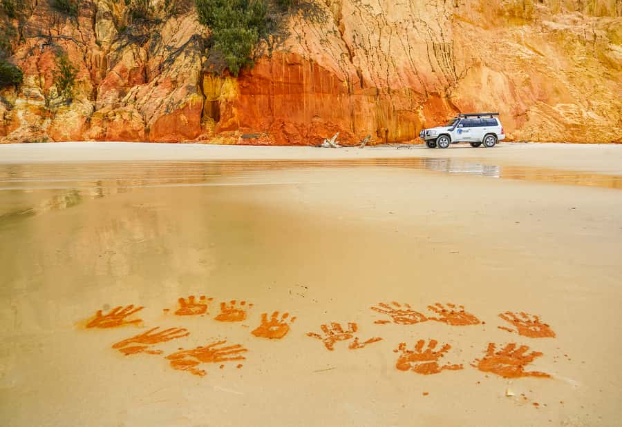 Noosa to Rainbow Beach: 4-Wheel Drive Tour in Great Sandy NP - The Noosa to Double Island Point drive: golden sand, headlands, and sea life