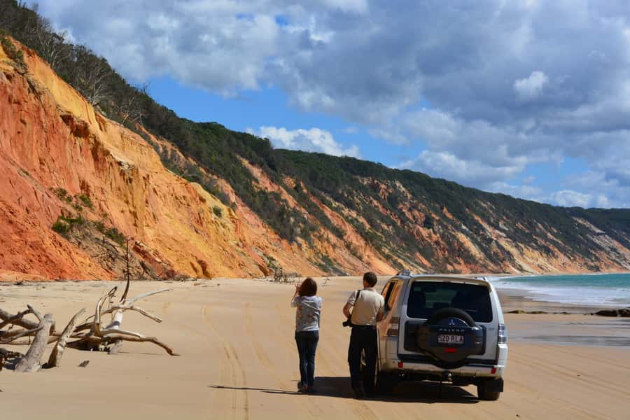 Noosa to Rainbow Beach: 4-Wheel Drive Tour in Great Sandy NP - Wildlife on a 4WD route: how to look without missing the moment
