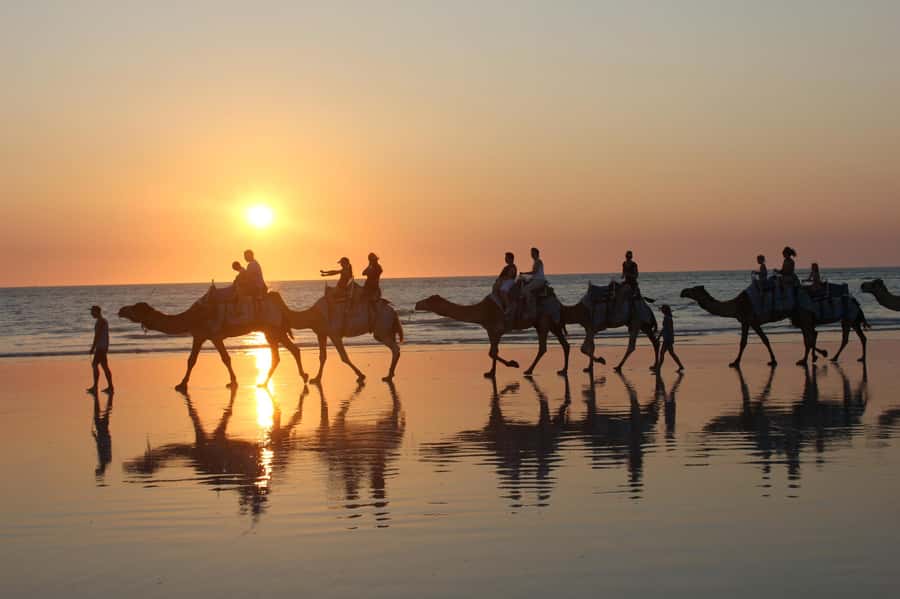 North of Rocks on Cable Beach: 1-Hour Sunset Camel Ride - Alison Bird’s Safety Briefing: The Part That Makes the Ride Feel Easy