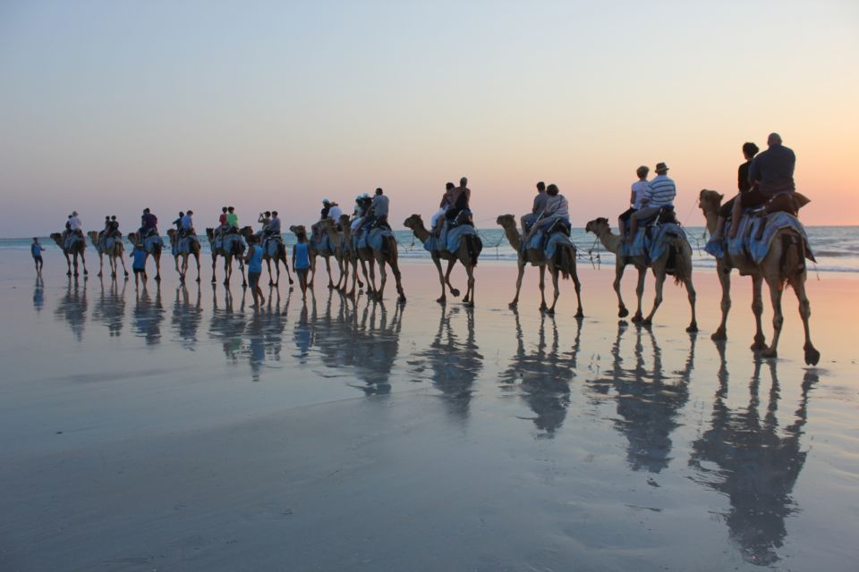 North of Rocks on Cable Beach: 1-Hour Sunset Camel Ride - Choosing Your Camel: They Assign, You Ride