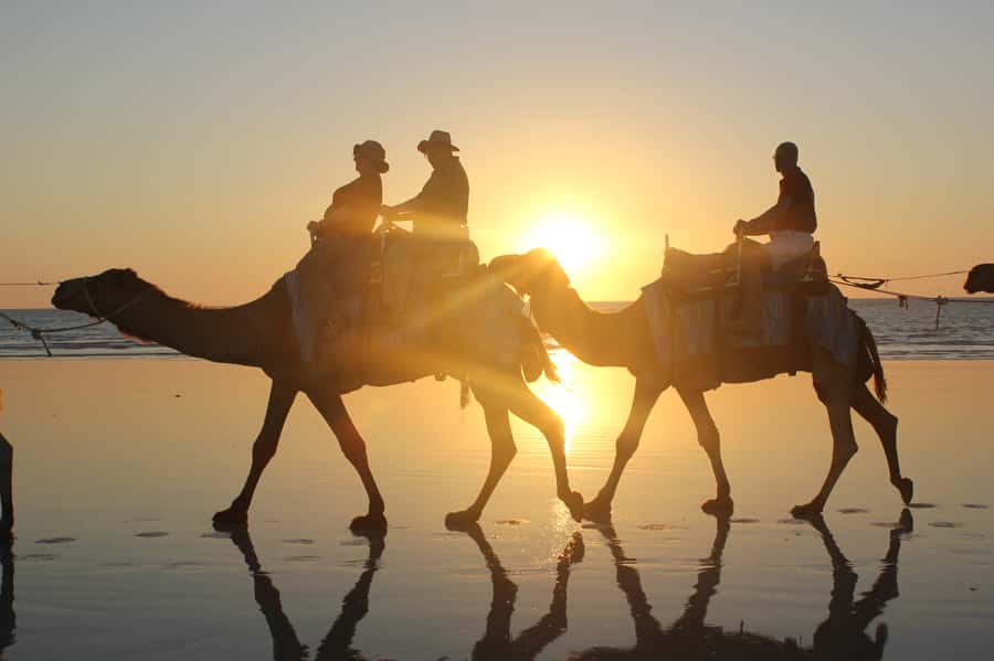 North of Rocks on Cable Beach: 1-Hour Sunset Camel Ride - Meeting North of the Rocks: Finding the Blue Camels Fast