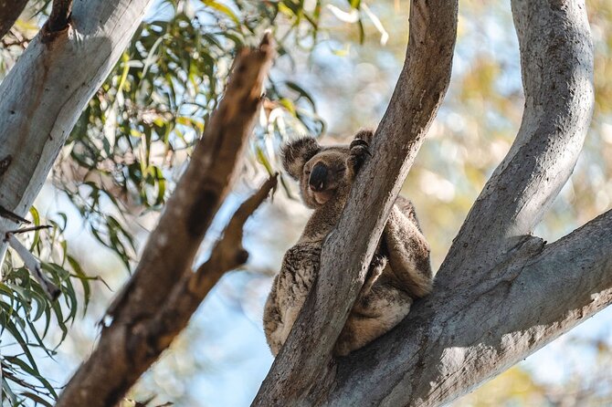 North Stradbroke Island Day Tour from Brisbane – Small Group - Key takeaways before you go