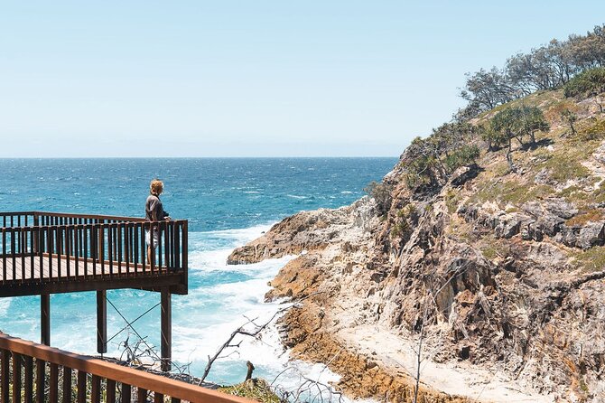 North Stradbroke Island Day Tour from Brisbane – Small Group - Koalas and kangaroos: how the guide turns time into sightings