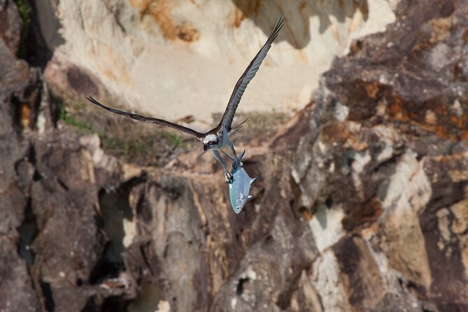 North Stradbroke Island Private Tour with Pickup - Point Lookout lunch time, ice cream, and the beach loop after