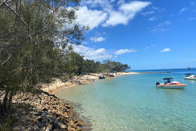 North Stradbroke Island WILDLIFE Adventure Tour from Brisbane - Key points at a glance