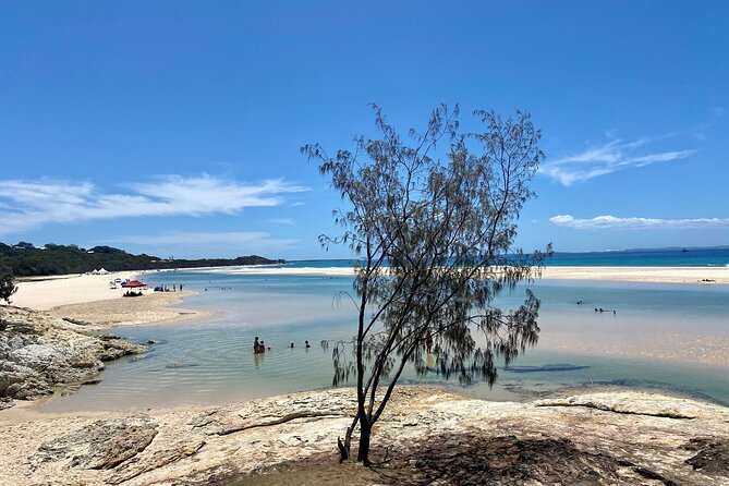 North Stradbroke Island WILDLIFE Adventure Tour from Brisbane - Brown Lake (Lake Bummiera): a calm stop with tea-tree tinted water