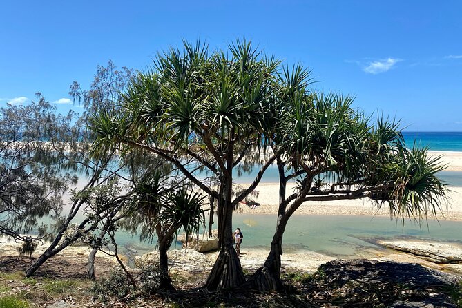 North Stradbroke Island WILDLIFE Adventure Tour from Brisbane - Point Lookout lunch: you choose your own picnic style