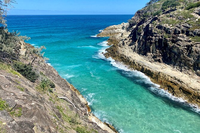 North Stradbroke Island WILDLIFE Adventure Tour from Brisbane - Comfort and timing: air-conditioned transport, water, and a full-day rhythm
