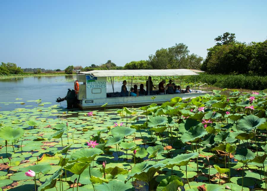 Northern Territory: Corroboree Billabong Nature Cruises - Key highlights you’ll feel on this cruise