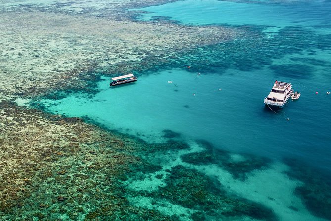 Ocean Freedom Great Barrier Reef Luxury Snorkel and Dive Cruise - Stop 1 at Wonder Wall: the outer-edge snorkel-and-drift spectacle