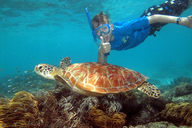 Ocean Spirit Sail to Michaelmas Cay Snorkel or Dive, from Cairns - Cairns Check-In at Spence St: what your morning really looks like