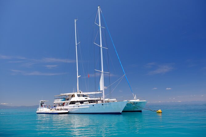 Ocean Spirit Sail to Michaelmas Cay Snorkel or Dive, from Cairns - Michaelmas Cay on the sand: snorkeling from shore and what to expect