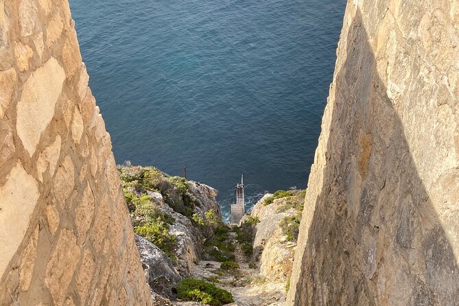 One Day Kangaroo Island Highlights Tour - Key highlights to know before you go