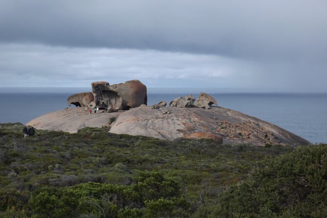 One Day Kangaroo Island Highlights Tour - Price and what the $248.40 includes (and what it doesn’t)
