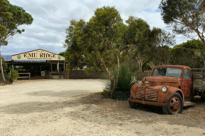 One Day Kangaroo Island Sip & See tour with return ferry transfers from Adelaide - False Cape Wines: recycled-building cellar door and a structured tasting