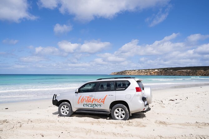 One Day Port Lincoln Tour - Tasting Eyre - Fresh Fish Place lunch: why this stop is more than a meal