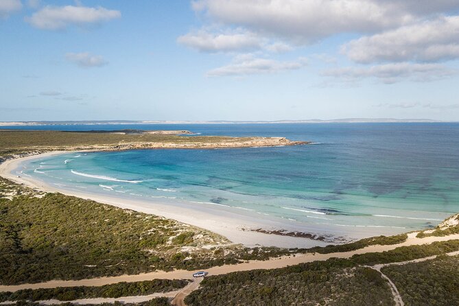 One Day Port Lincoln Tour - Tasting Eyre - Wildlife odds: what you can expect, and what you can’t