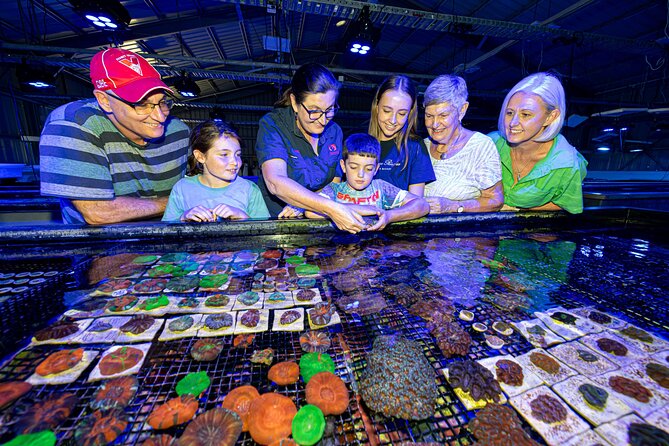 One Hour Coral Farm Tour, Discover Australia's Marine Life - Your Phone Photos: The Lens Filter That Actually Helps