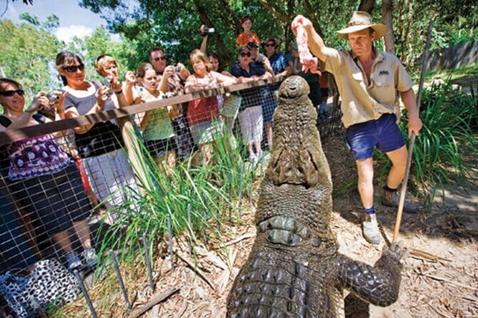 One Way Port Douglas to Cairns Shuttle Services - Group Size and the Friendly, Professional Vibe