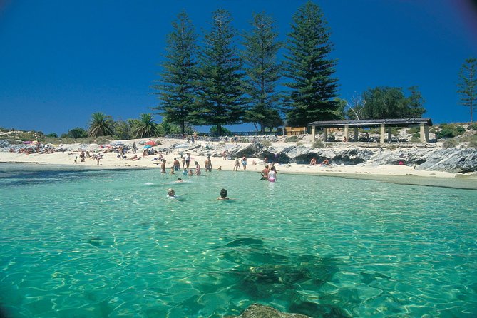 One Way Seaplane Flight - Perth to Rottnest Island - Price and scheduling: is $179.31 worth it?