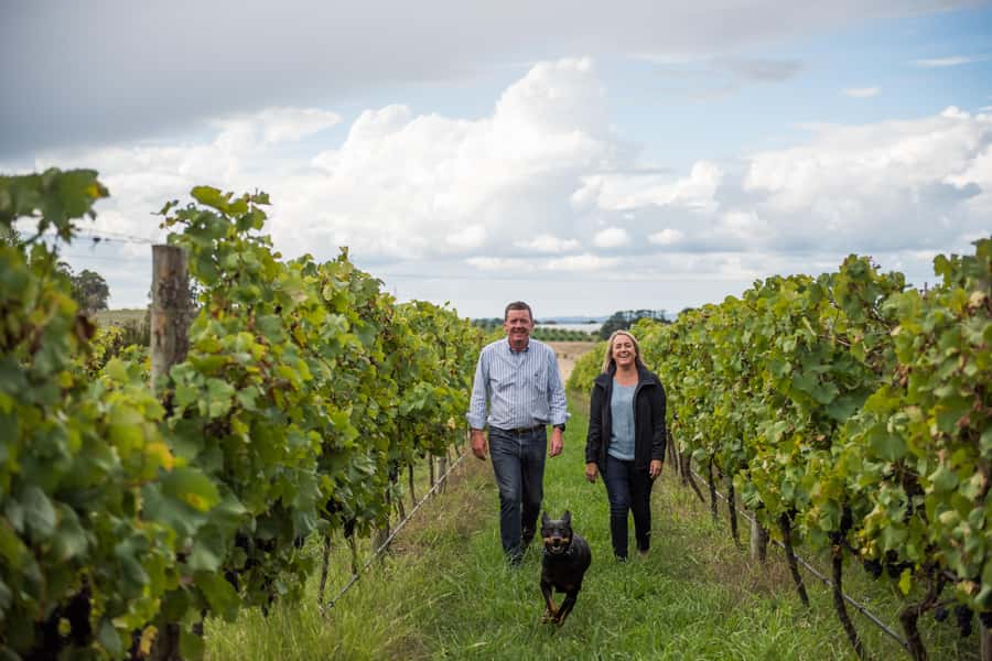 Orange NSW: 1 hour Wine Tasting at Ross Hill Wines - Key things I think you’ll care about