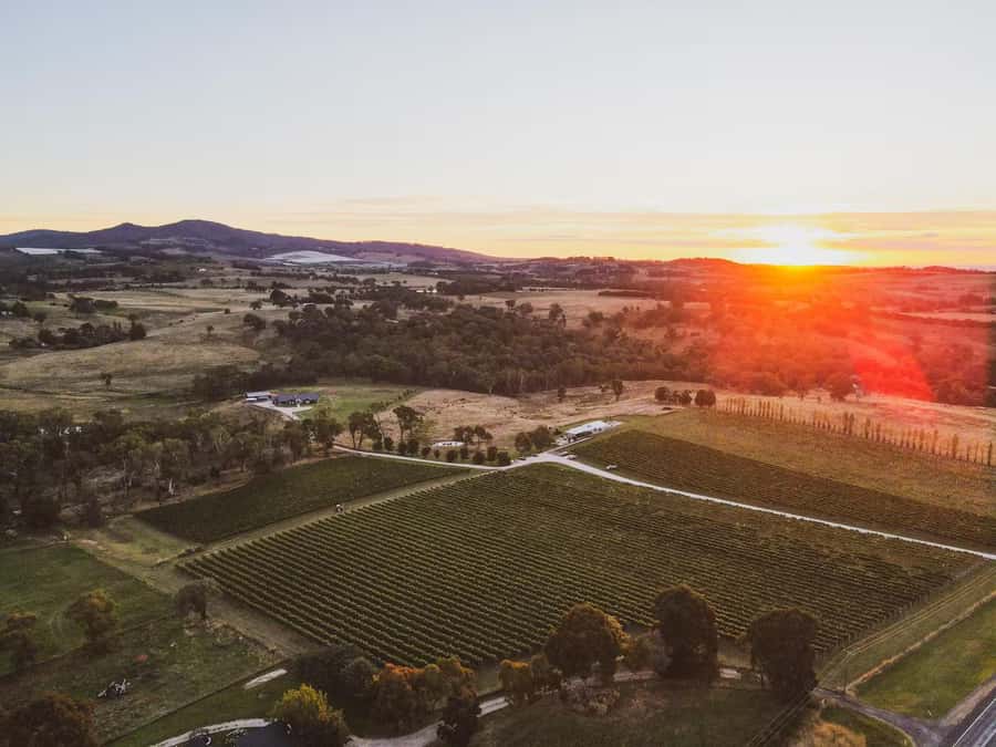 Orange: Savour with Swinging Bridge - Wine & Canapé Tasting - The 60-minute structure: seven wines, one food pairing at a time