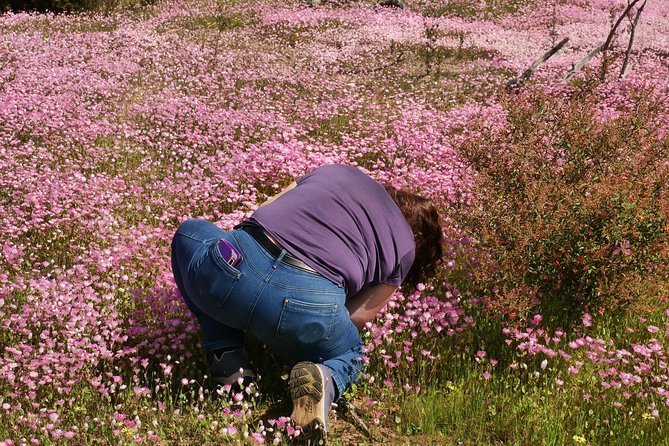 Orchids and Wildflowers Photographic Day tour from Perth - Photo-gear and clothing: what to bring so the day feels easy