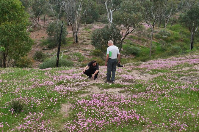 Orchids and Wildflowers Photographic Day tour from Perth - Who this tour is best for (and who should think twice)
