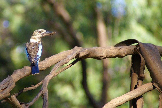 Ord River Cruise Experience with Riverside Lunch - Who should book this Ord River cruise