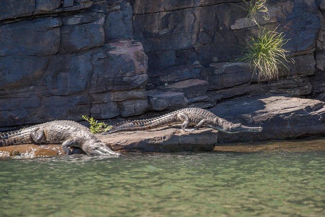 Ord River Discoverer Cruise with Sunset - Price and value: what $188.63 buys you