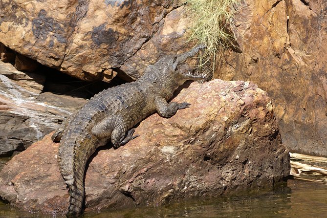 Ord River Explorer Cruise with Sunset - What to bring (and how to set yourself up for a good day)