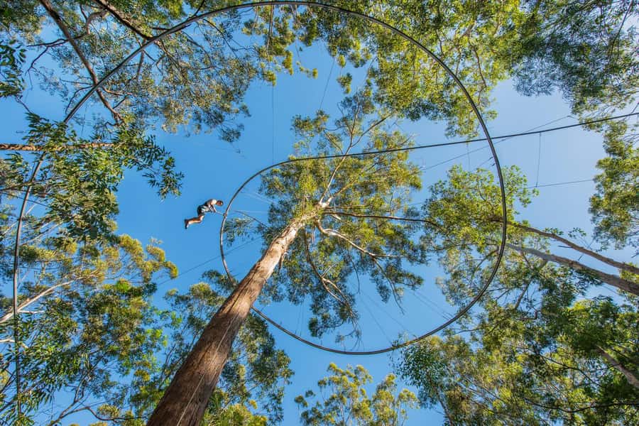Ourimbah: Central Coast Zipcoaster - Key things I’d watch for before you ride