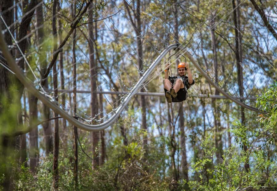 Ourimbah: Central Coast Zipcoaster - Zipcoaster 101: what you’re really buying in Ourimbah